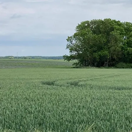 Lägenhet Windland-arkonablick Dranske